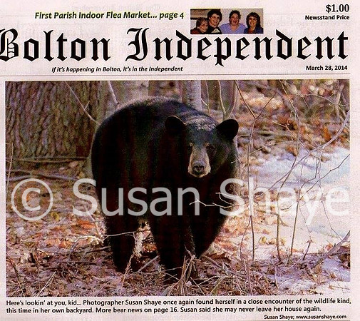 The Bolton Independent