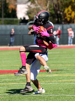 Framingham at Wellesley 10/23/2021