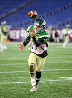 Nashoba PREGAME Fans, Cheer Division 4 State Final