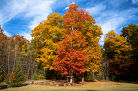 Fall in New England