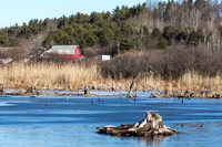 Muddy Pond, Sterling, Massachusetts