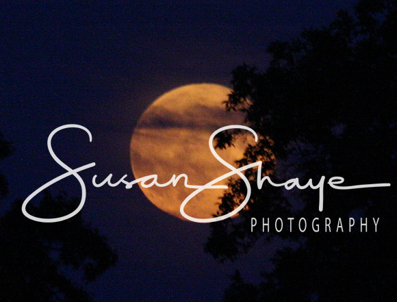 Supermoon