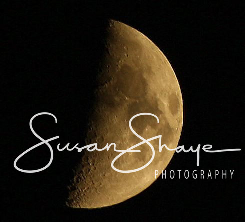 July Evening Moon