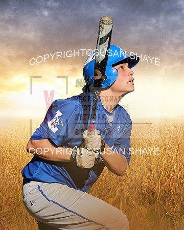 Field of Dreams Baseball