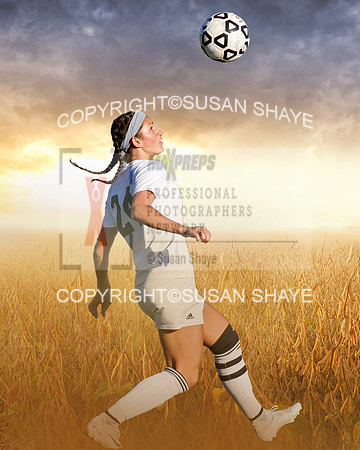 Soccer Field