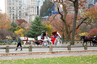 NYC Central Park
